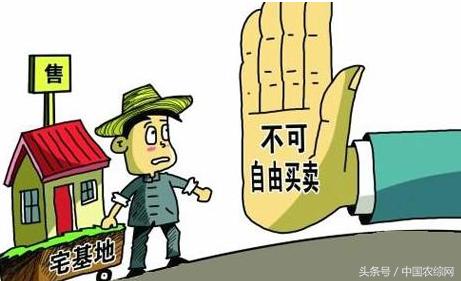 图书馆被评为全国知识产权人才工作先进集体:IM电竞(图2) IM电竞平台