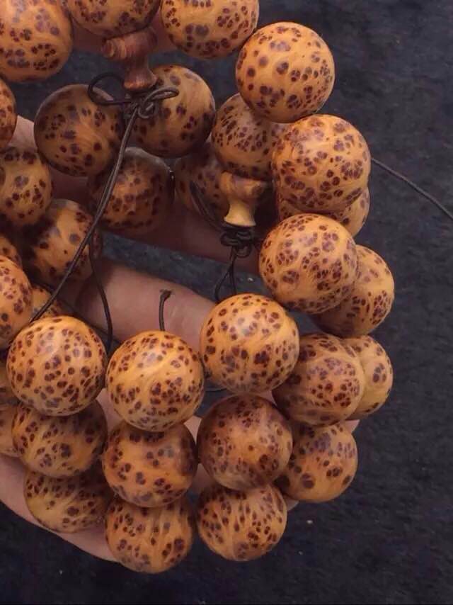 IM电竞平台_我校师生以各种形式纪念抗战胜利70周年(图1) IM电竞官网