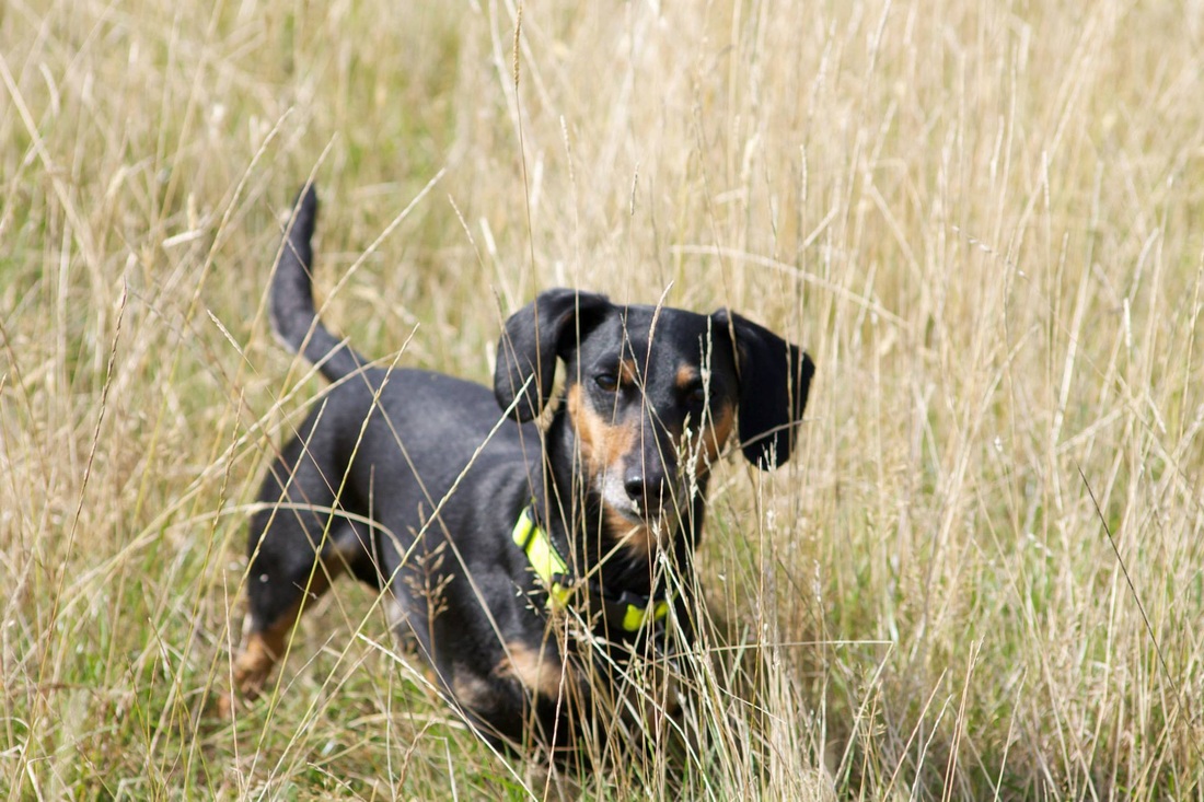 江苏省“苏北计划”“西部计划”“绵竹计划”志愿者面试在我校举行|IM电竞官网